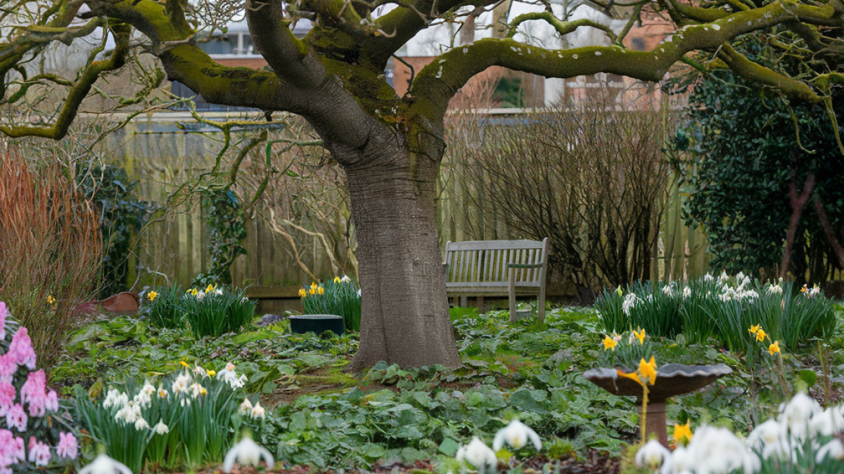 Gartengestaltung unter Bäumen mit Sträucher, Blumen und Deko