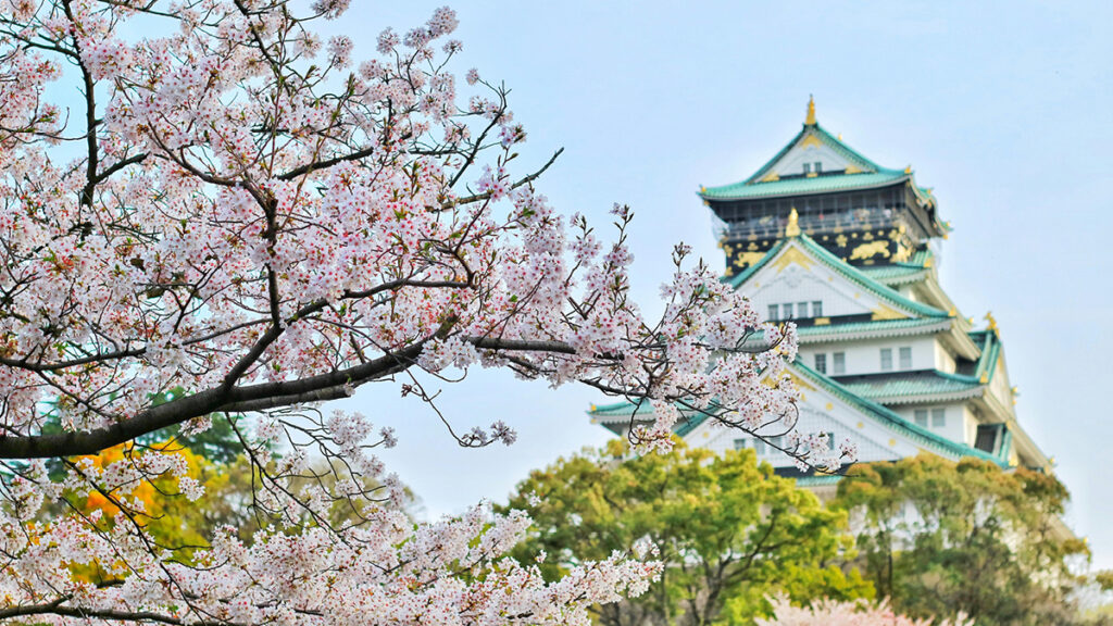 Japanischer Garten Welche Pflanzen sind beliebt – Kirschblüten und Bäume