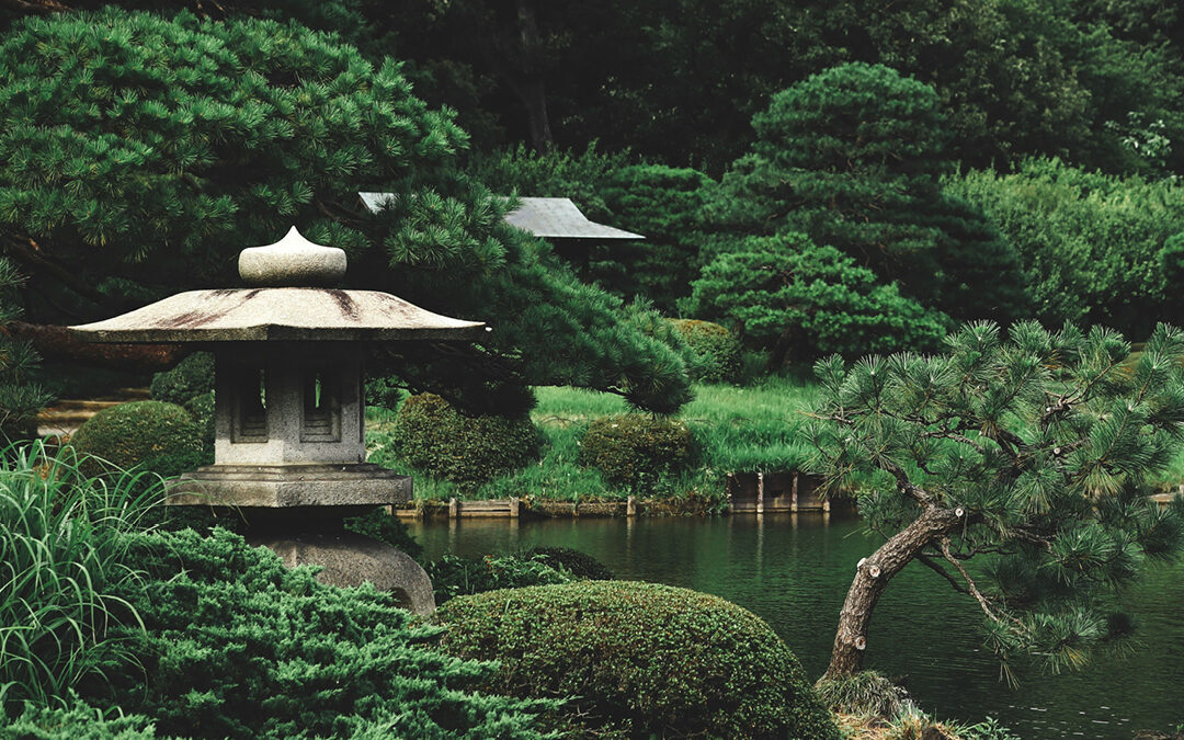 Japanischer Garten: Welche Pflanzen sind beliebt im Zen-Garten?