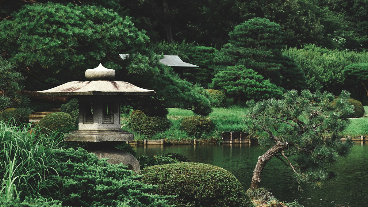 Japanischer Garten Welche Pflanzen sind beliebt