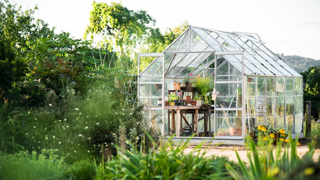 Stauden, Sträucher, Blumen und Bäume als Gartenbepflanzung