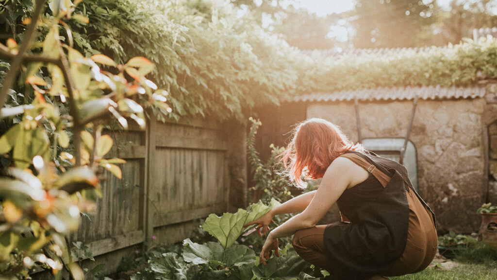 Schrebergarten und Kleingarten Gestaltung